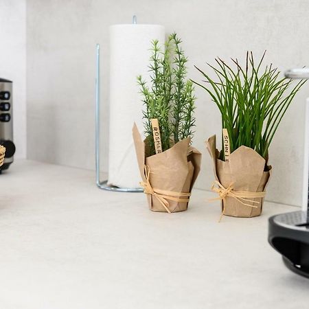 Casa Gran Canaria オルペニッツ エクステリア 写真